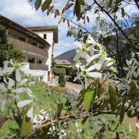 Natur Pur Hotel Unterpichl Ултімо Екстер'єр фото