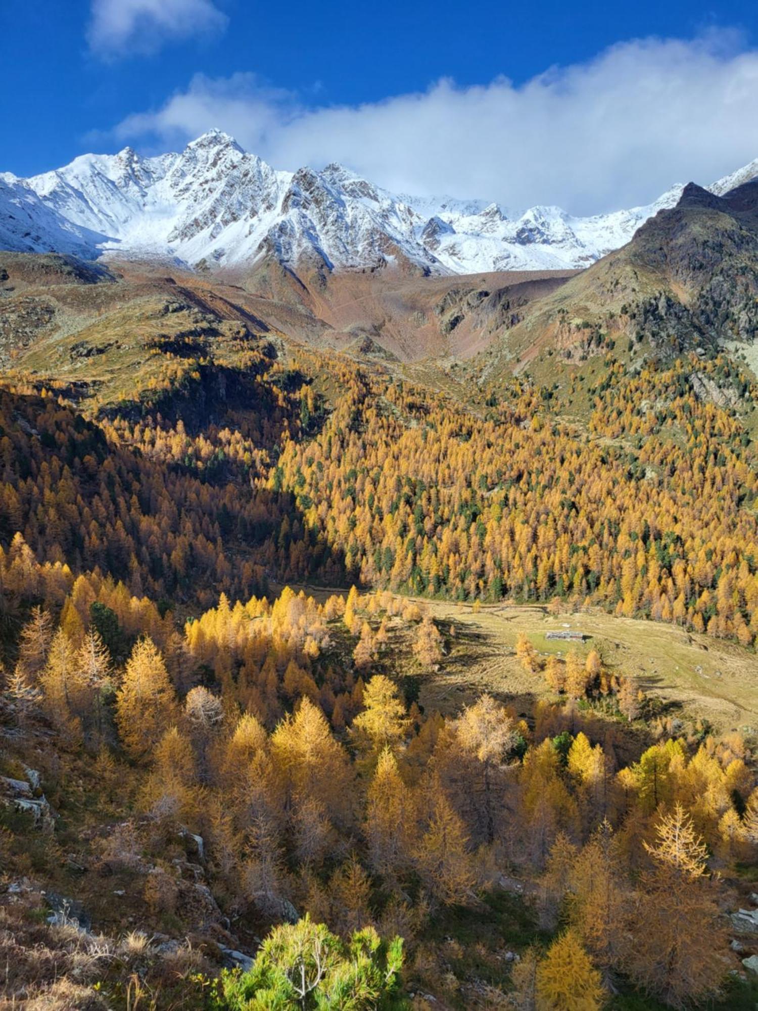 Natur Pur Hotel Unterpichl Ултімо Екстер'єр фото