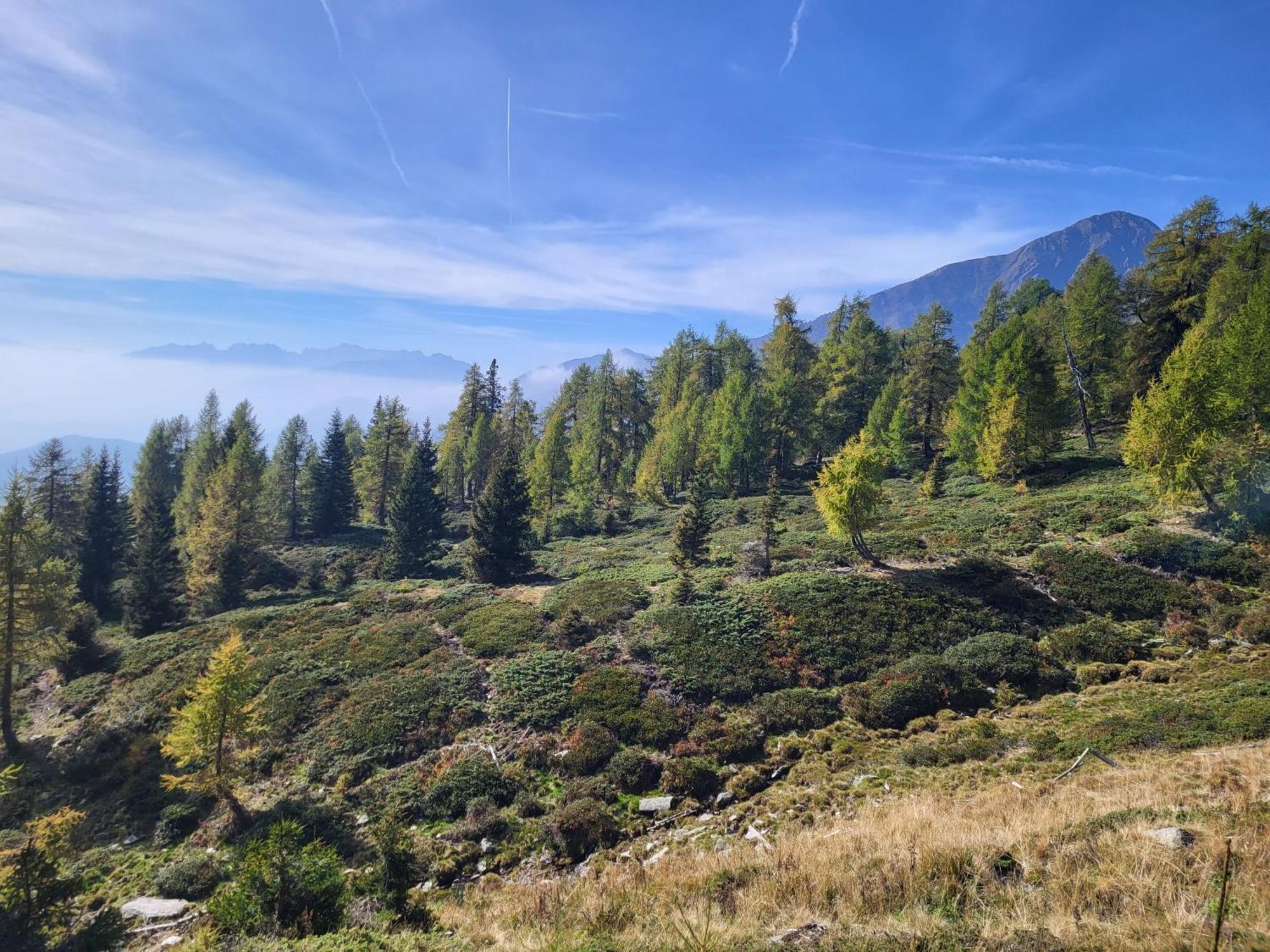 Natur Pur Hotel Unterpichl Ултімо Екстер'єр фото